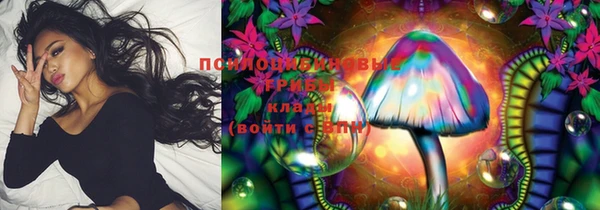 мяу мяу мука Михайловск