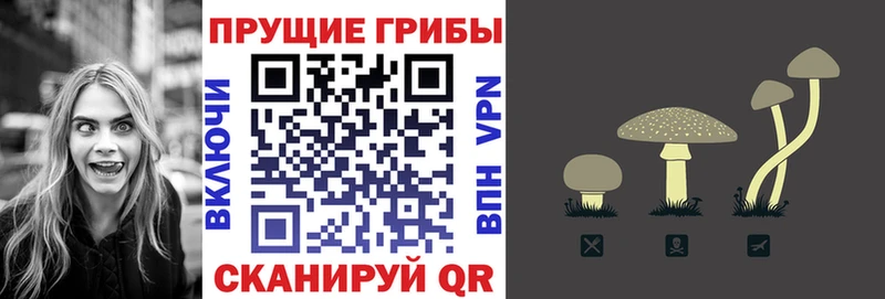 Галлюциногенные грибы MAGIC MUSHROOMS  Купить закладки  Безенчук 